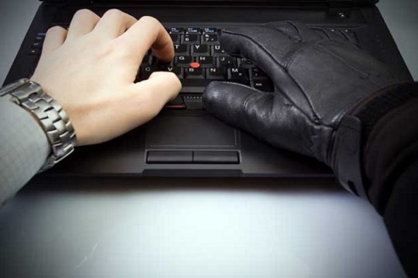 Fraud Investigations